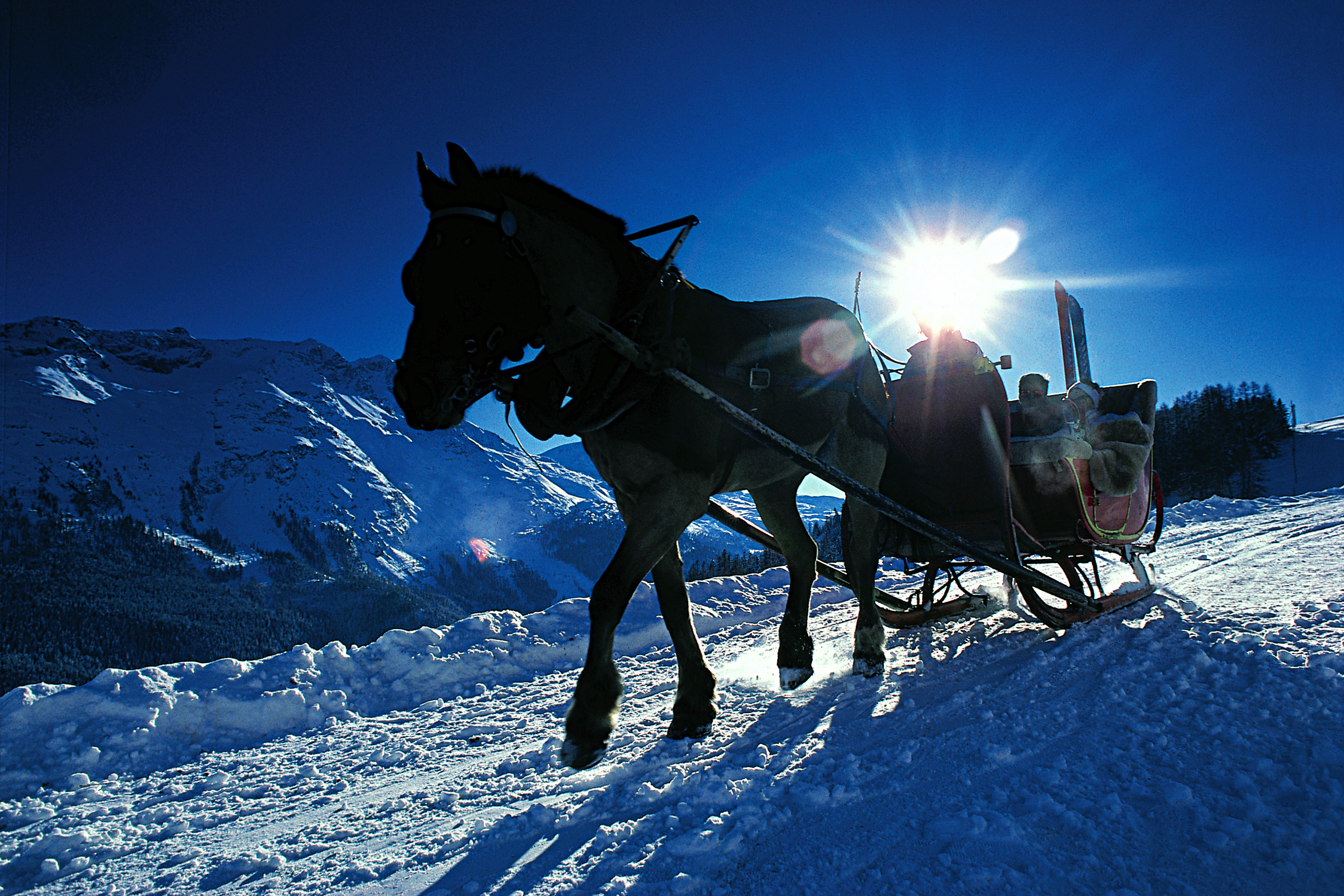 ENGADIN St. Moritz: Pferdeschlittenfahrt - IGE Erlebnisreisen | 
