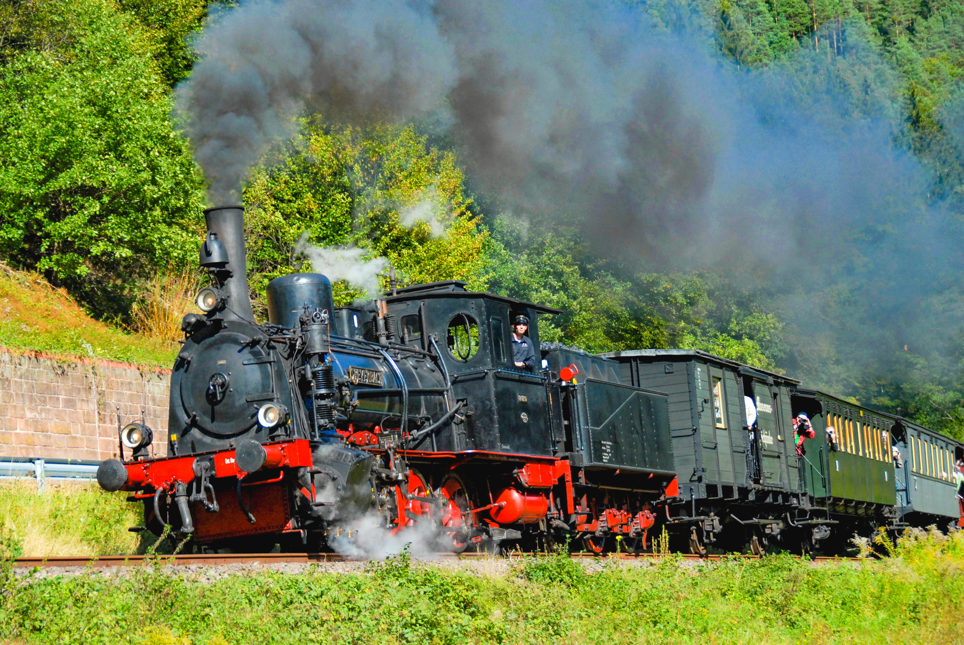 Dampfzugfahren mit dem Kuckuckbhnle und Schweineschnuzchen mit Ihrem Bahnspezialisten durch den Pflnzerwald. Bahnerlebnisse in Deutschland. Bahnreise, Zugreise, Eisenbahnreise, Sonderzugreise | IGE  - IGE Erlebnisreisen | 