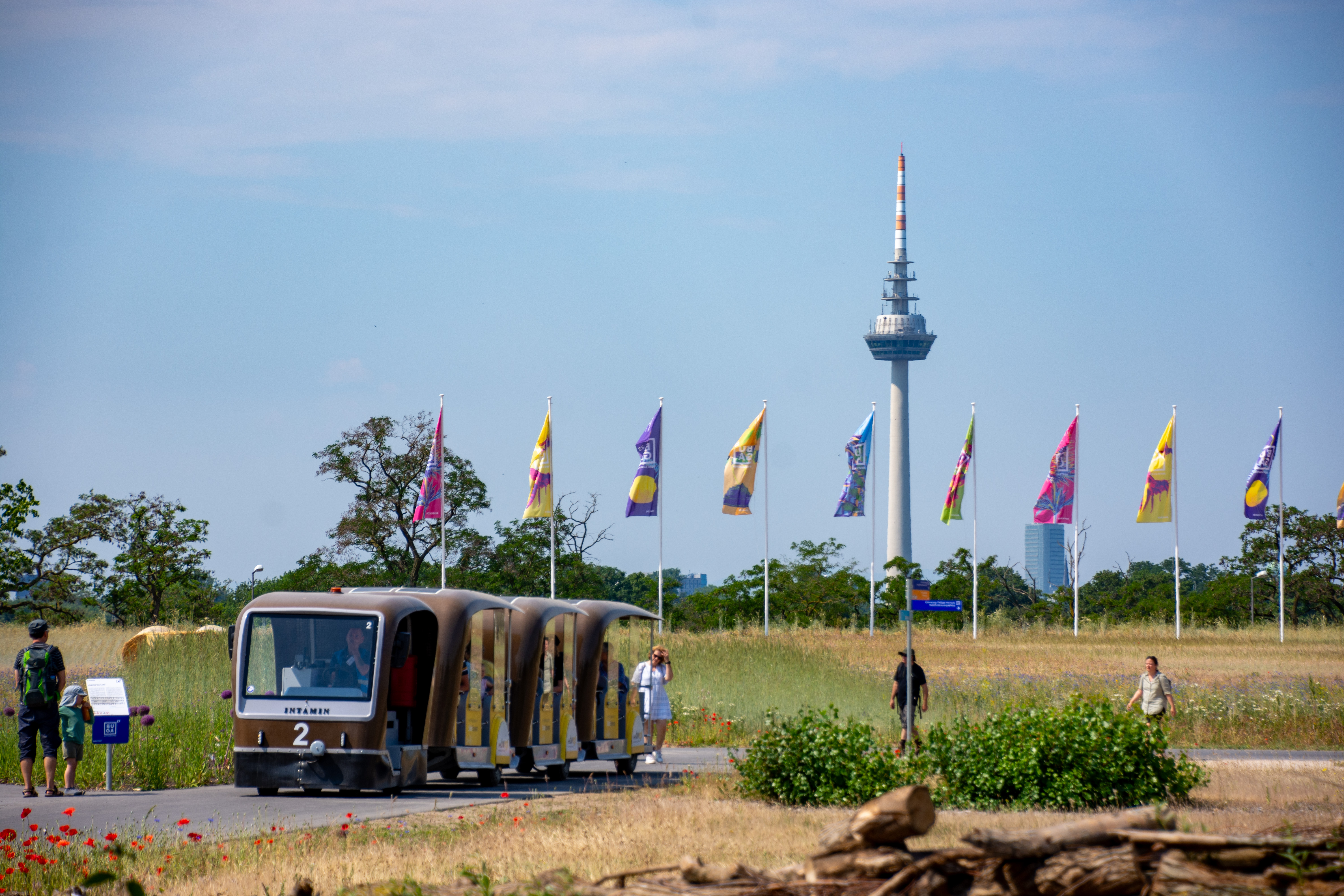 Dampfzugfahren mit dem Kuckuckbhnle und Schweineschnuzchen mit Ihrem Bahnspezialisten durch den Pflnzerwald. Bahnerlebnisse in Deutschland. Bahnreise, Zugreise, Eisenbahnreise, Sonderzugreise | IGE  - IGE Erlebnisreisen | 