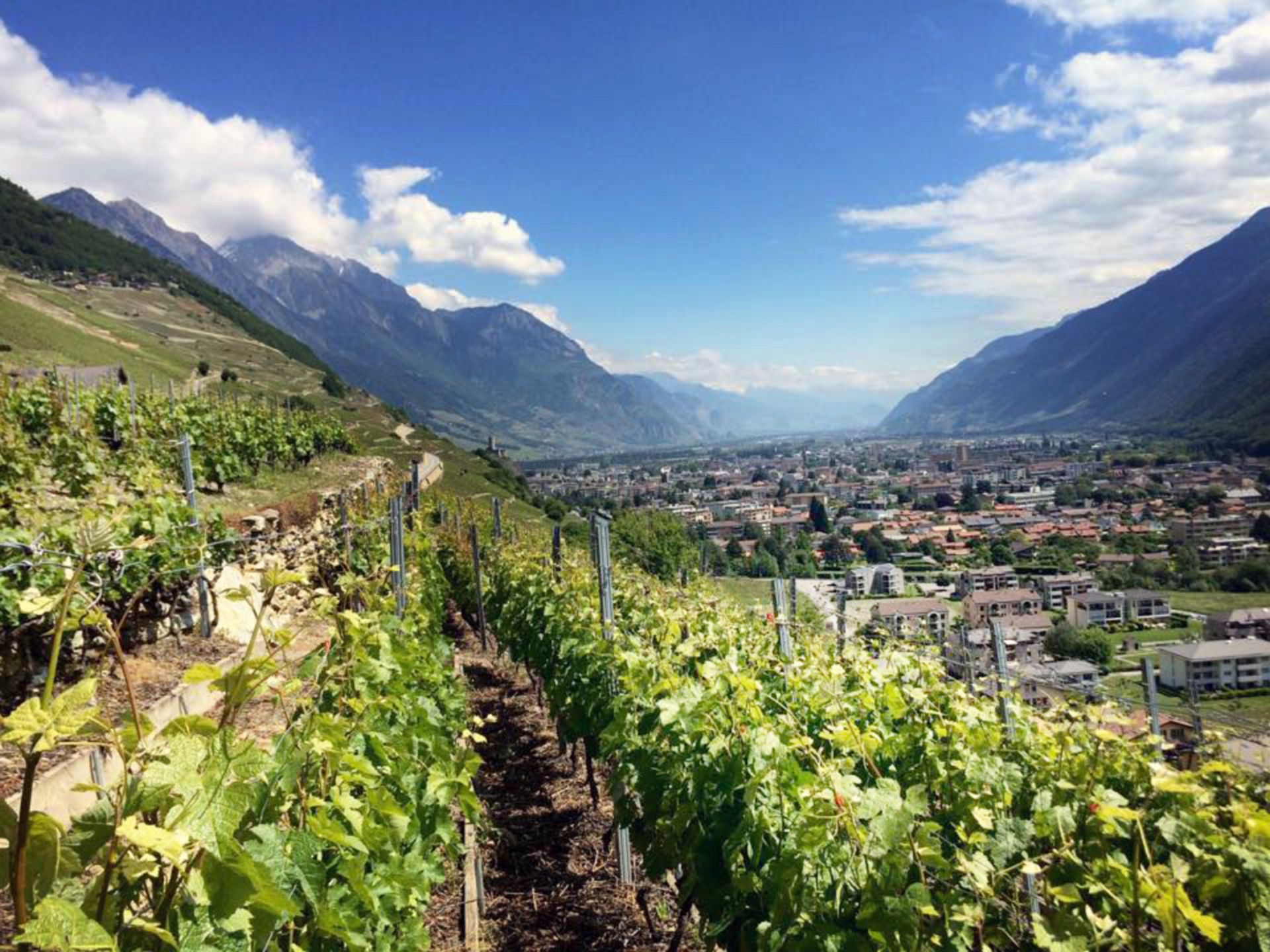  - IGE Erlebnisreisen | MartignyTourisme