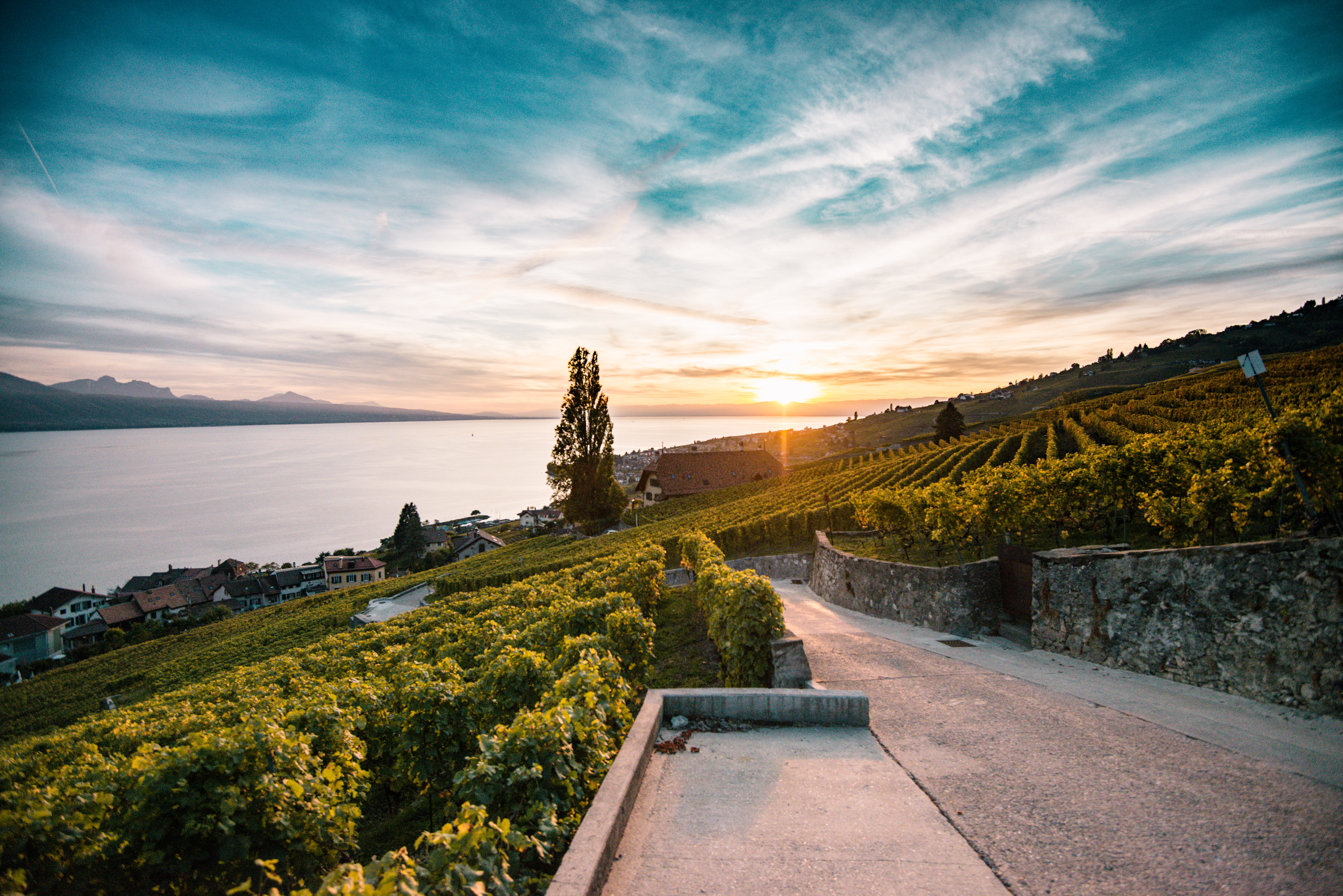 Lavaux Octobre 2017 - IGE Erlebnisreisen | Maude Rion
