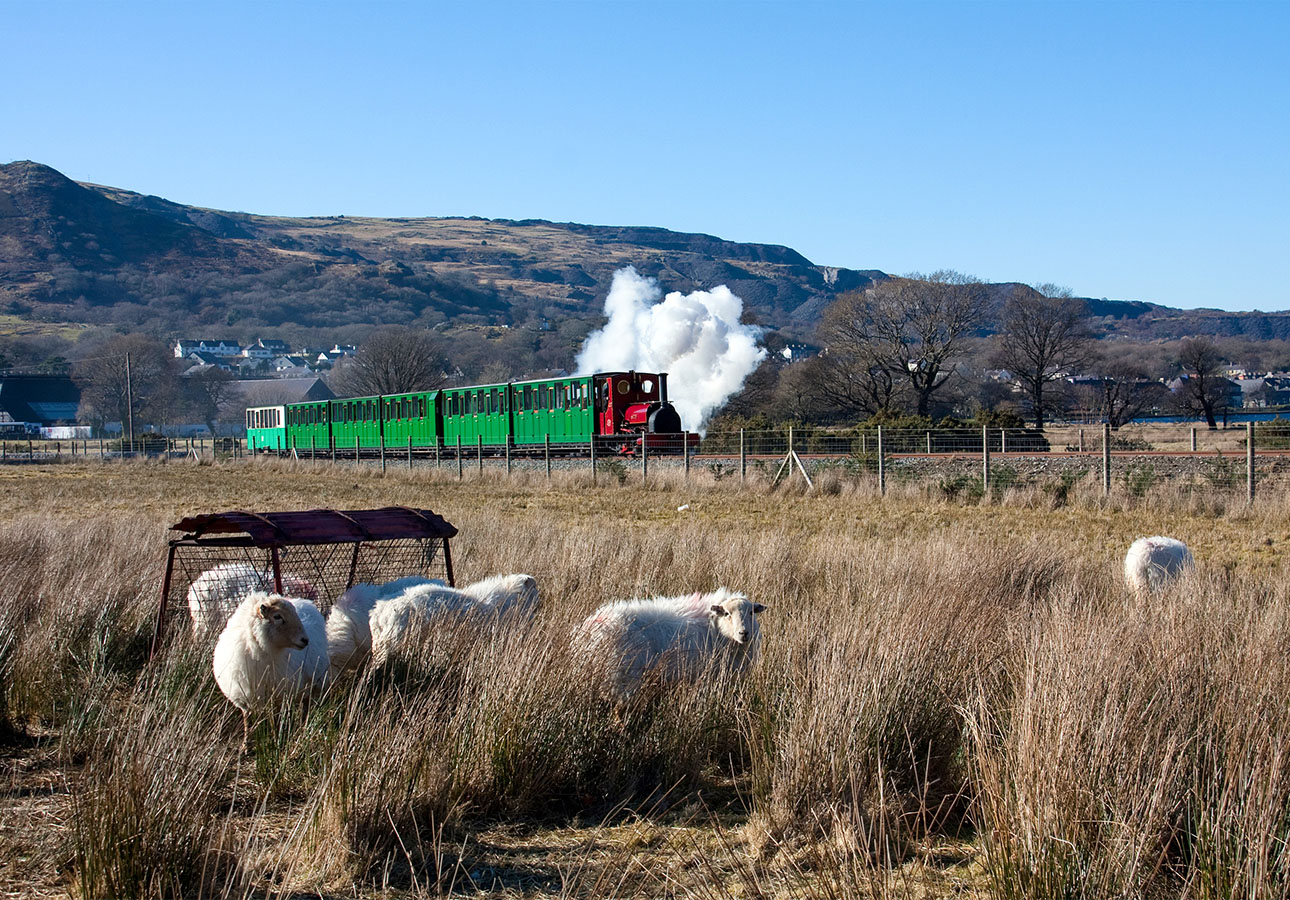 Bahnreise, Eisenbahnreise, Zugreise, Eisenbahn-Romantik, Dampfzugreise, Steam Train Travel, Welsh Dragon, Wales-Reise, Ffestiniog Railway, Snowdonia Railway | IGE - IGE Erlebnisreisen | Gail Johnson