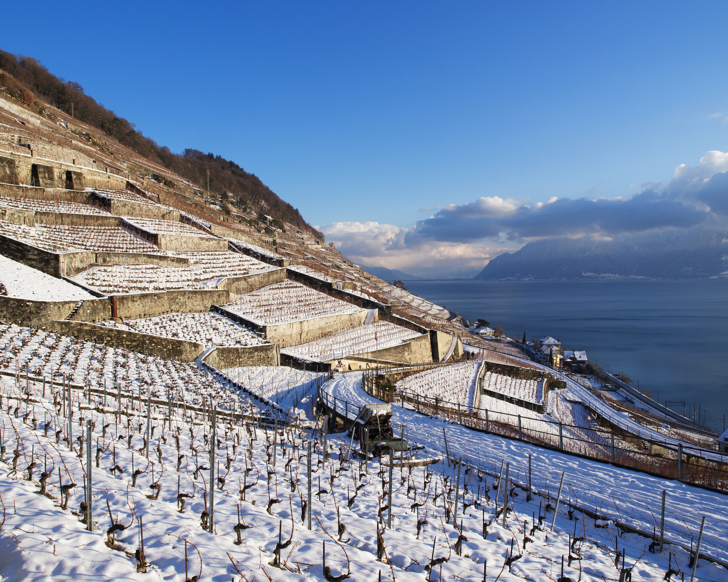 Berninaexpress, Glacierexpress, Golden Pass Panoramic, Bahnreisen | IGE - IGE Erlebnisreisen | (c) Chlodvig | Dreamstime.com