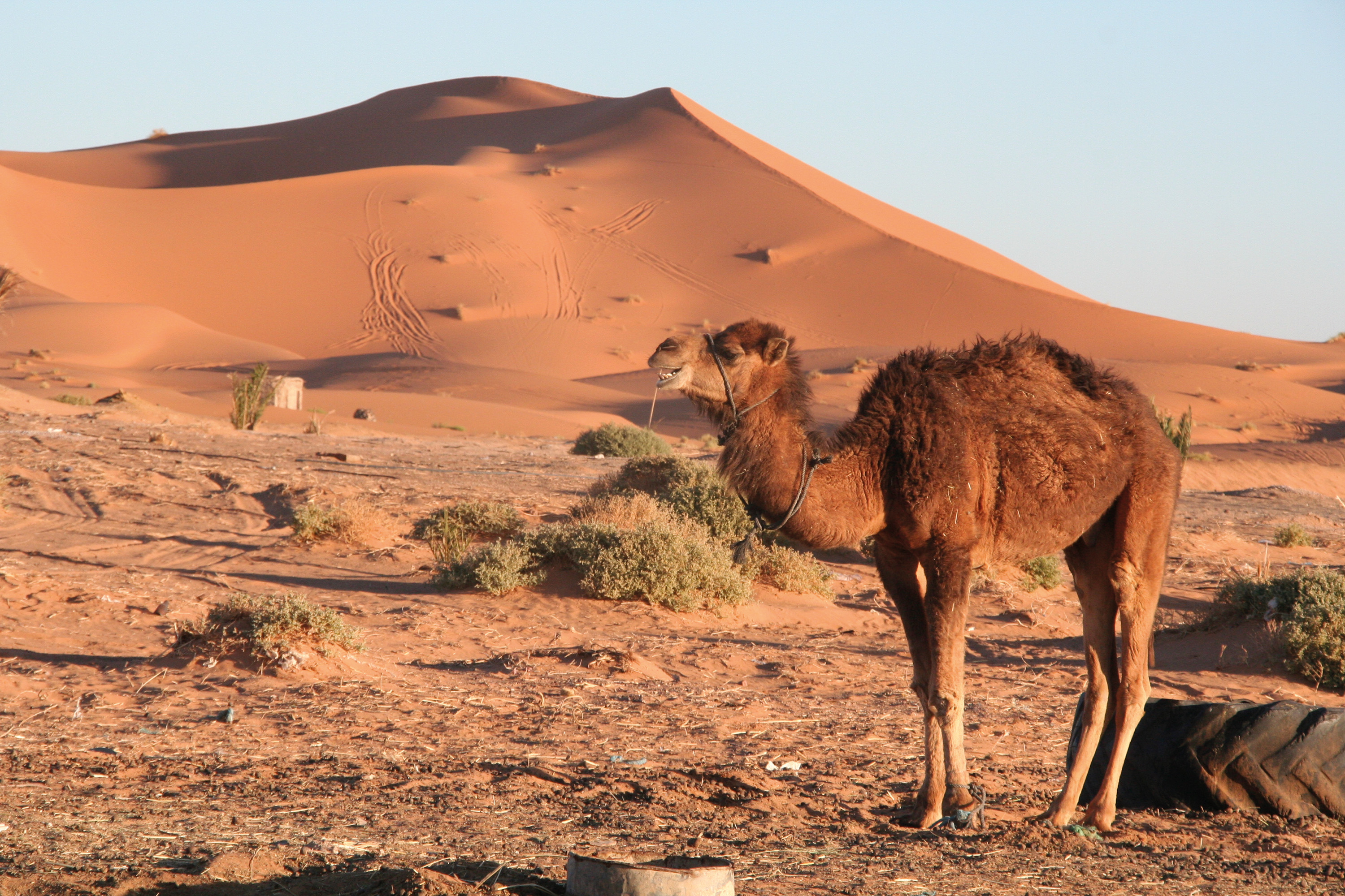  - IGE Erlebnisreisen | � Armin G�tz