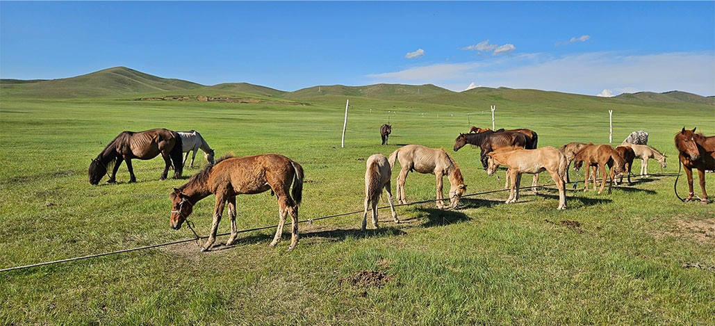  - IGE Erlebnisreisen | � Nona Travel Mongolei