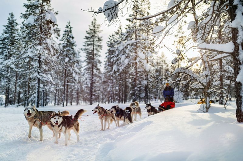 ?????????????????????????????????????????????????????????????????????????????????????????????? - IGE Erlebnisreisen | (c) Alexshalamov | Dreamstime.com